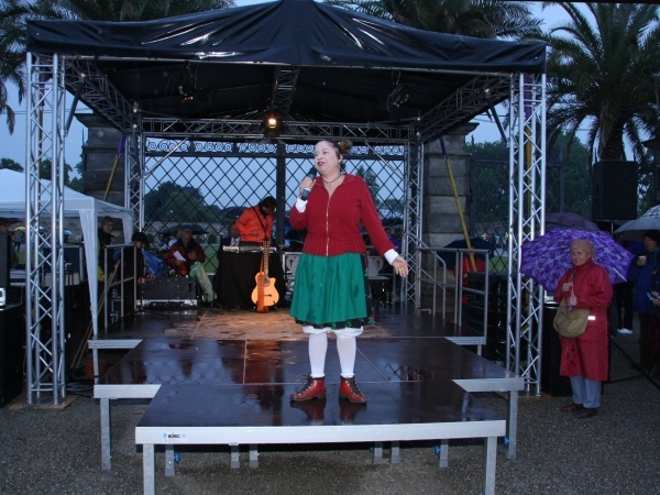 Feuerwerk Polen II   032.jpg